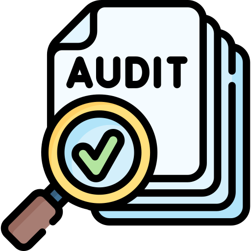 audit